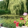 Bild 7 von 8