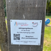Bild vom Spielplatz anzeigen.