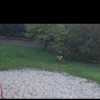 Bild 4 von 4