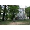 Bild 2 von 4