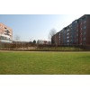 Bild 6 von 6