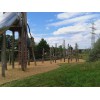 Bild 10 von 10