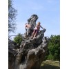 Bild 9 von 9