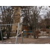 Bild 8 von 8