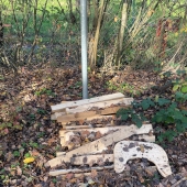 Bild vom Spielplatz anzeigen.