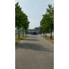 Bild 10 von 13