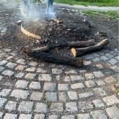 Bild vom Spielplatz anzeigen.