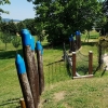 Bild 14 von 20