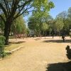 Bild 4 von 17
