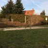 Bild 2 von 6