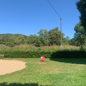 Bild vom Spielplatz anzeigen.
