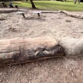 Bild vom Spielplatz anzeigen.