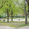 Bild 11 von 12