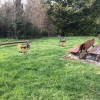 Bild 12 von 14