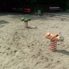 Bild 4 von 5