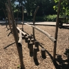 Bild 14 von 19