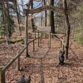 Bild vom Spielplatz anzeigen.