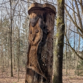 Bild vom Spielplatz anzeigen.