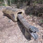 Bild vom Spielplatz anzeigen.