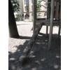 Bild 10 von 10