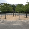 Bild 21 von 26