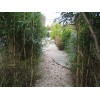 Bild 6 von 6