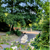 Bild vom Spielplatz anzeigen.