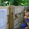 Bild 6 von 6