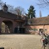 Bild 15 von 16
