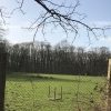 Bild 14 von 16