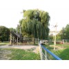 Bild 7 von 19