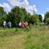 Bild 7 von 9