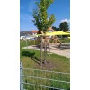 Bild 16 von 19