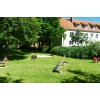 Bild 4 von 8