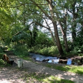 Bild vom Spielplatz anzeigen.
