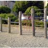 Bild 4 von 12