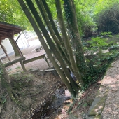 Bild vom Spielplatz anzeigen.