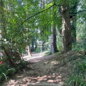 Bild vom Spielplatz anzeigen.