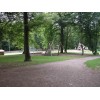 Bild 5 von 12