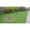 Bild 2 von 7