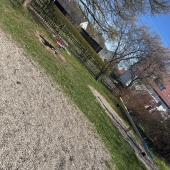 Bild vom Spielplatz anzeigen.