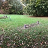 Bild 6 von 13