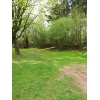 Bild 6 von 9