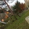 Bild 3 von 3