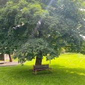 Bild vom Spielplatz anzeigen.