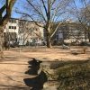 Bild 10 von 10