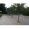 Bild 6 von 11