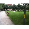 Bild 8 von 11