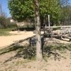 Bild 10 von 16