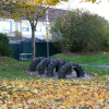 Bild 3 von 7